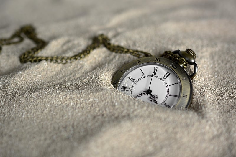 Time Travel Pioneers